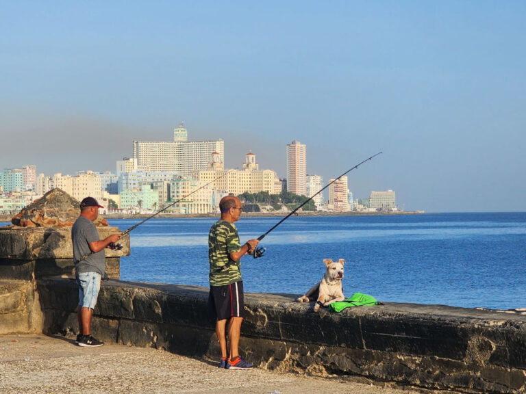 havana-malecon-pescador-cachorro