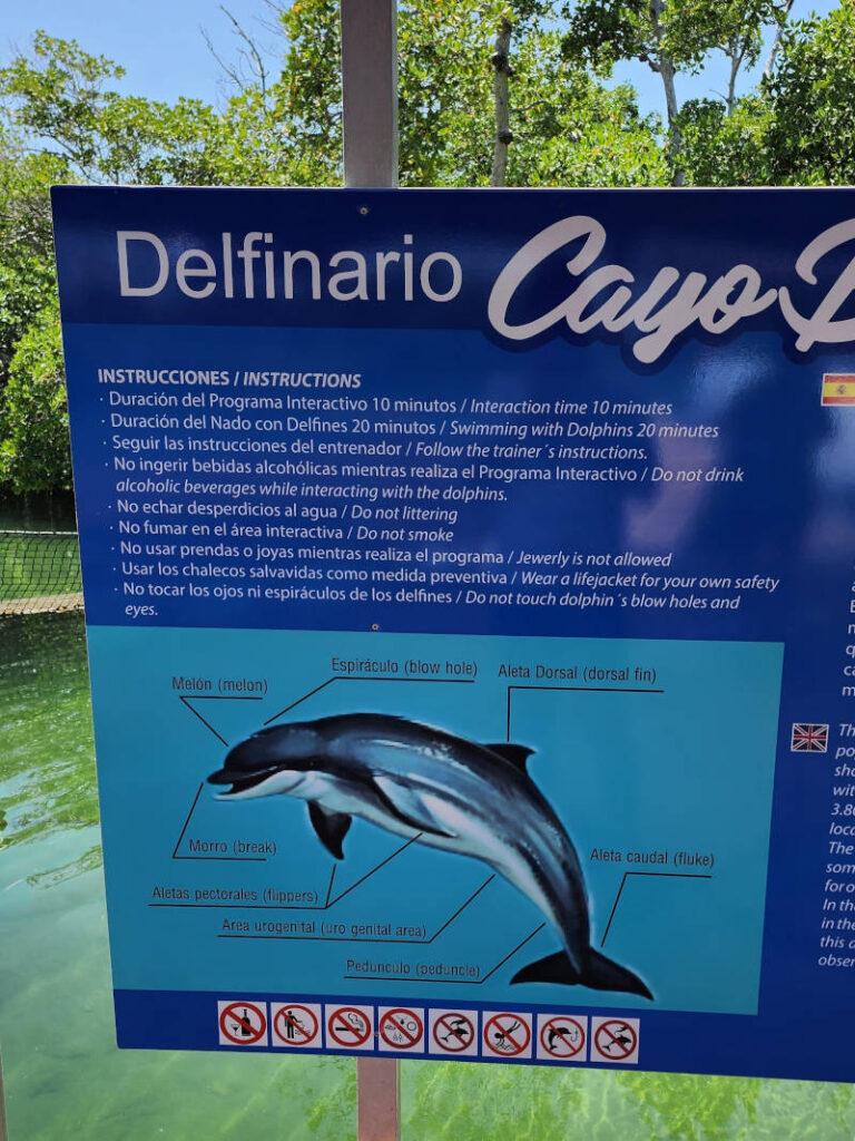 varadero-cayo-blanco-delfinario