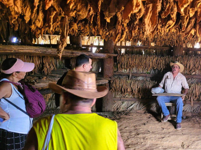 vinales-finca-secador-campesino