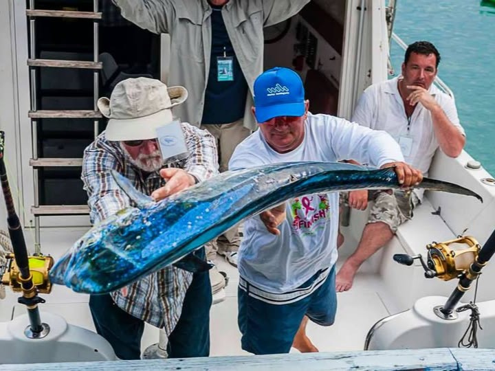 big-game-trolling-pesca-altura