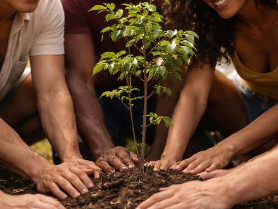 fiesta-de-colores-IA-arvore