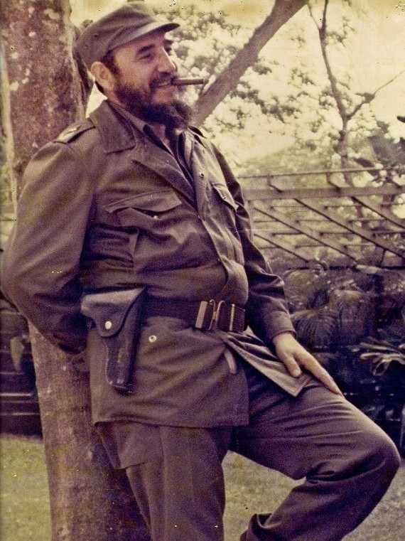 Fidel-castro-arvore