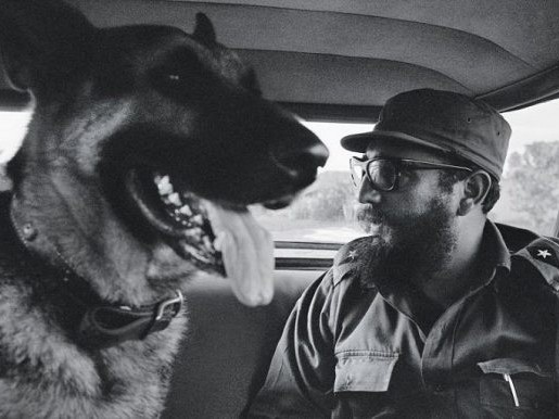 fidel-castro-cachorro
